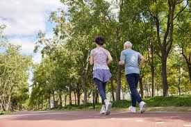 香港球迷：哲凯赖什登场令人激动！